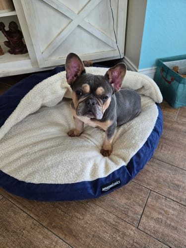 Customer photo review of Daily Multi