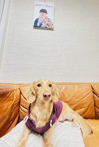 Customer photo review of Petcanvaオーダーメイド ペット似顔絵