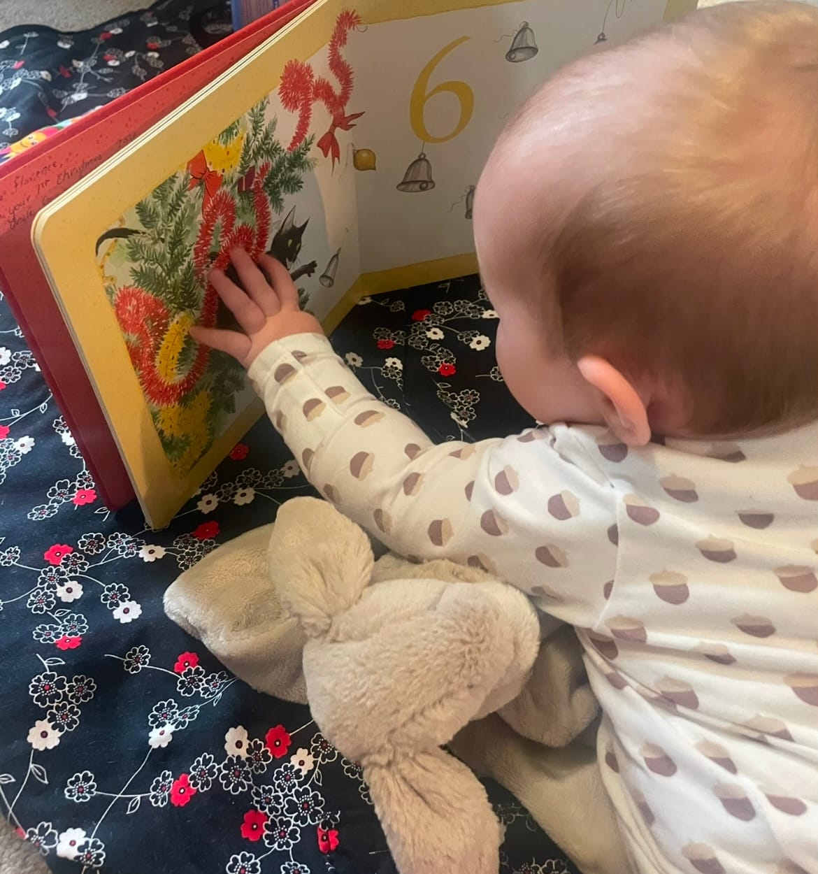 Customer photo review of Learn with Me - Baby Cards