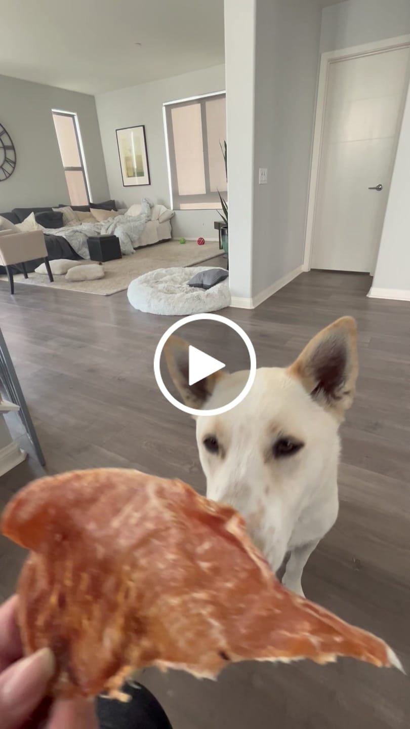 Customer video review of Pumpkin Chicken