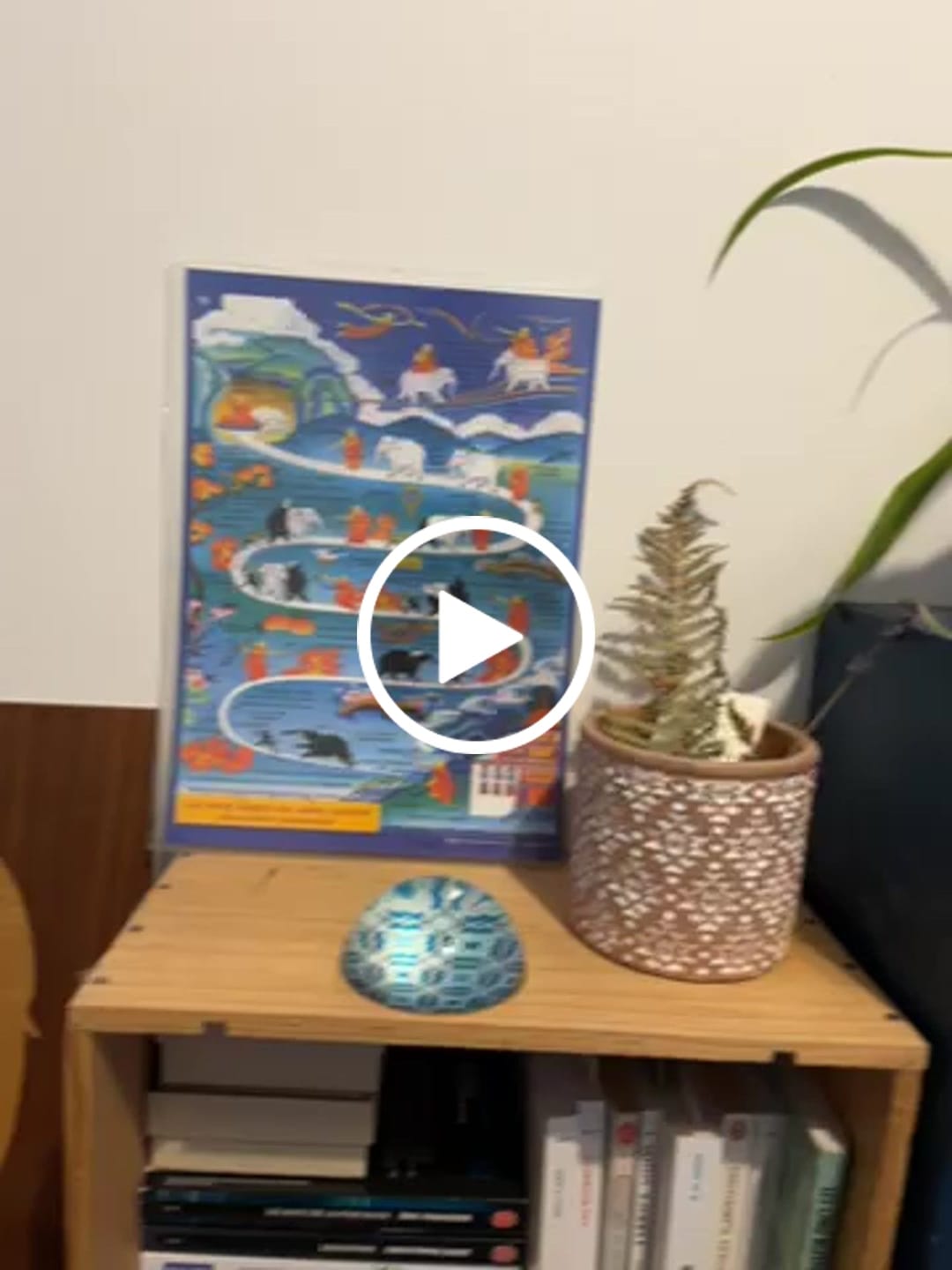 Customer video review of Image du Calme Mental