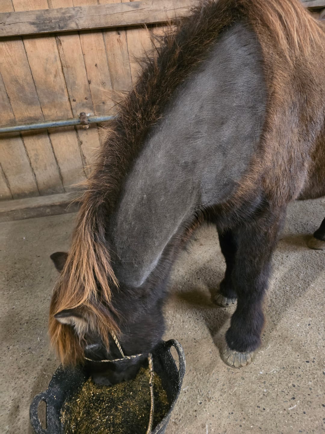Customer photo review of Agrobs Seniormineral 25 kg