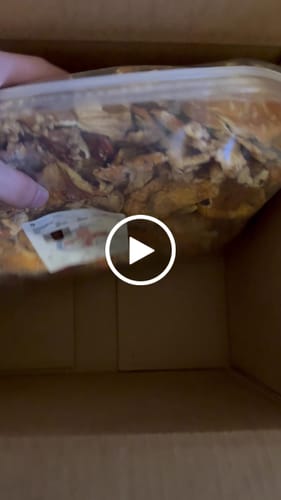 Customer video review of Bulk Amanita Muscaria Mushrooms - $80 LB