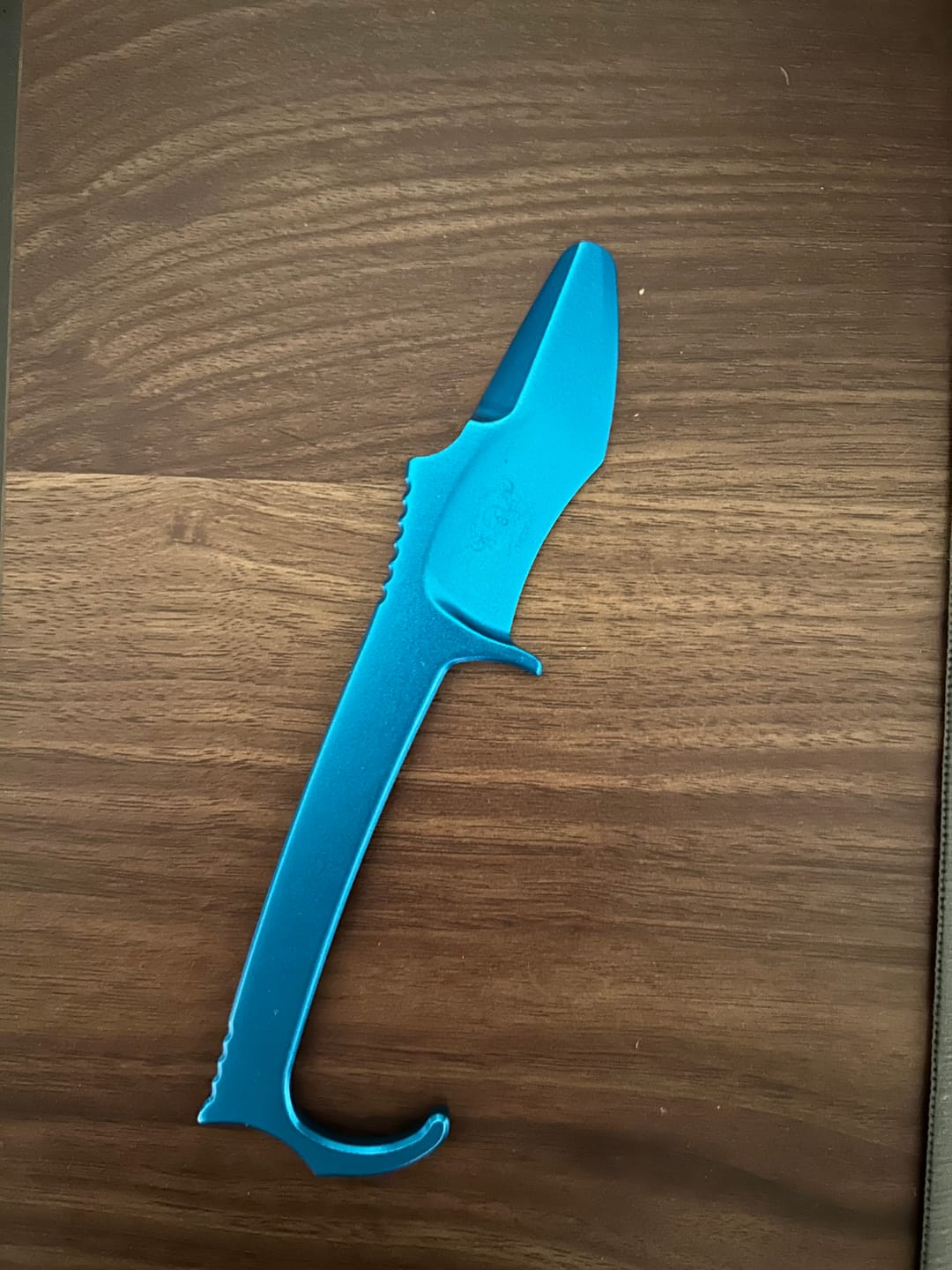 Customer photo review of MDV Trainer (Blue)