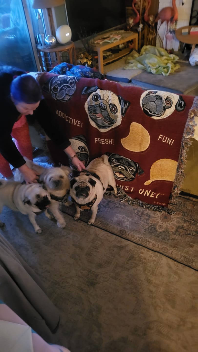 Customer photo review of Heirloom Woven "PUGTATO CHIPS" Blanket | FREE SHIPPING!