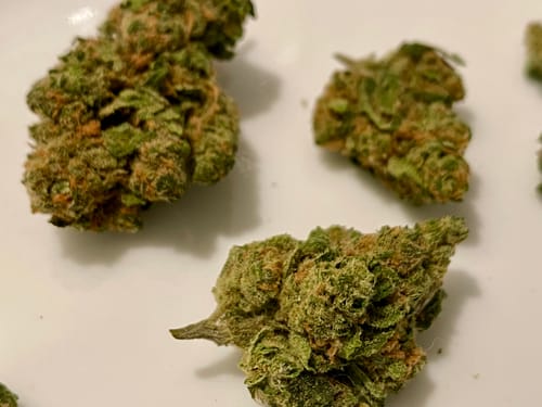 Customer photo review of Blue Dream - 14 Grams Littles - Sativa