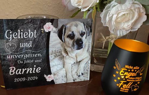 Customer photo review of Hunde Gedenktafel mit Foto & Spruch (UV- & Wetterfest)