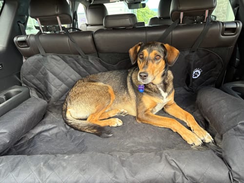 Customer photo review of Car Seat Cover