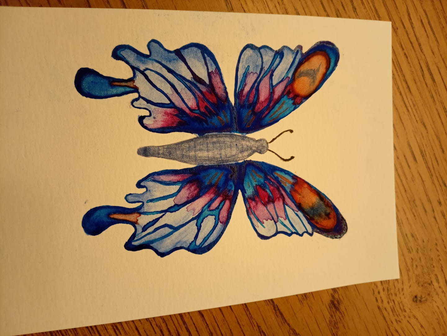 Customer photo review of Skrim Aquarelle