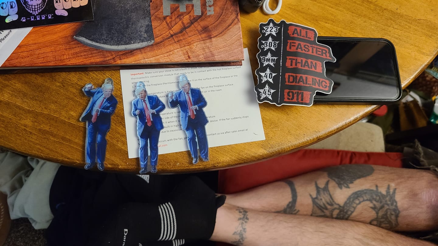 Customer photo review of All Faster than 911 Decal