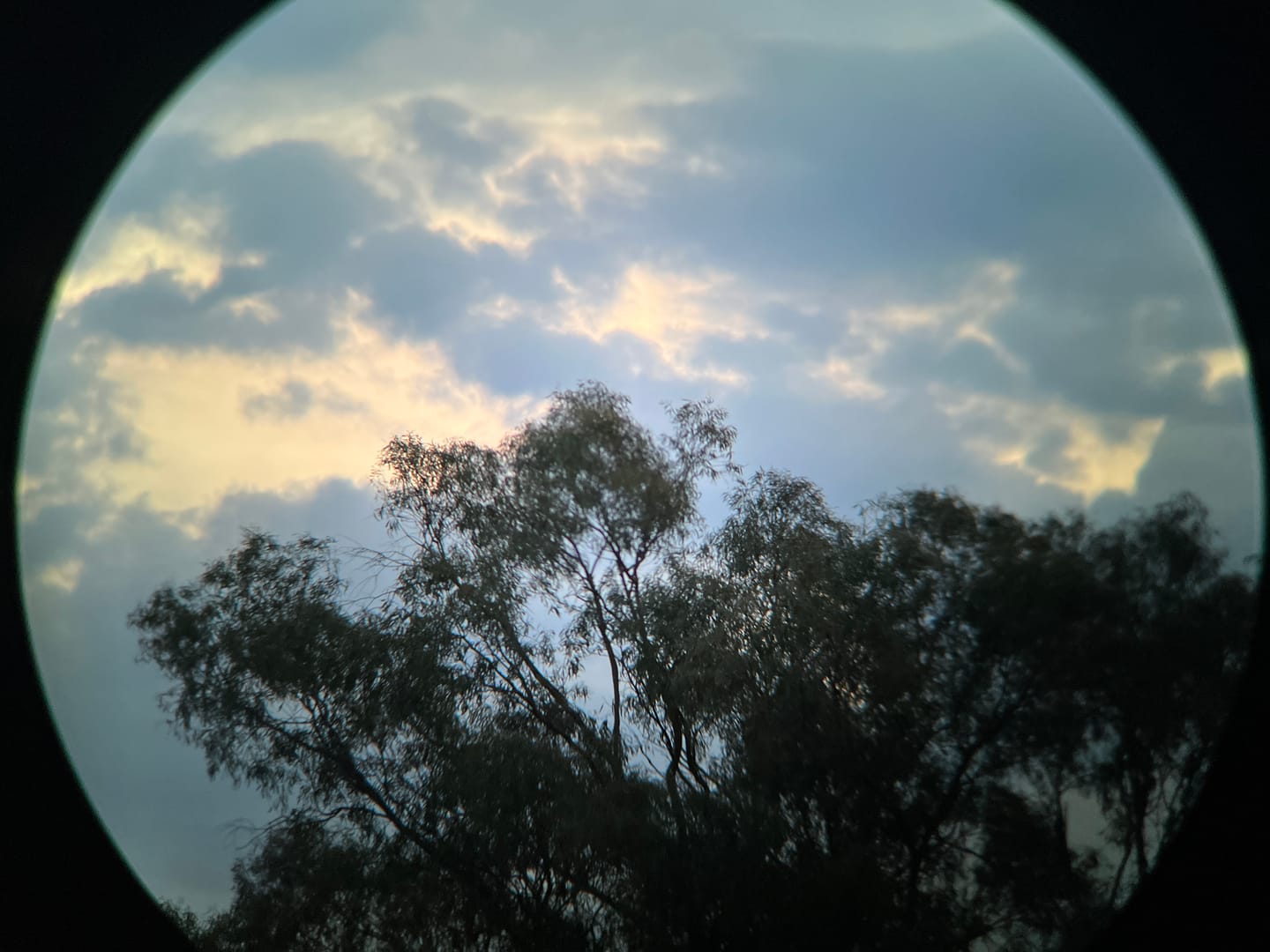 Customer photo review of Zeiss SFL 8x30 Binoculars