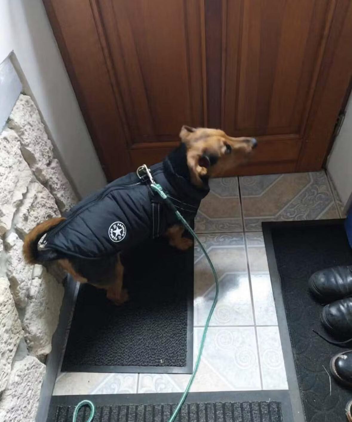 Customer photo review of PawShield - Honden Winterjas Winterjas Voor Hond