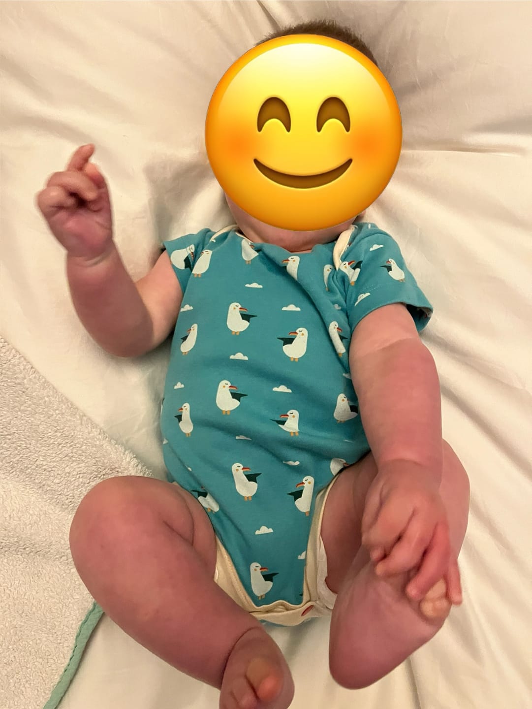 Customer photo review of Summer Seagull Organic Baby Bodies Set - 2 Pack