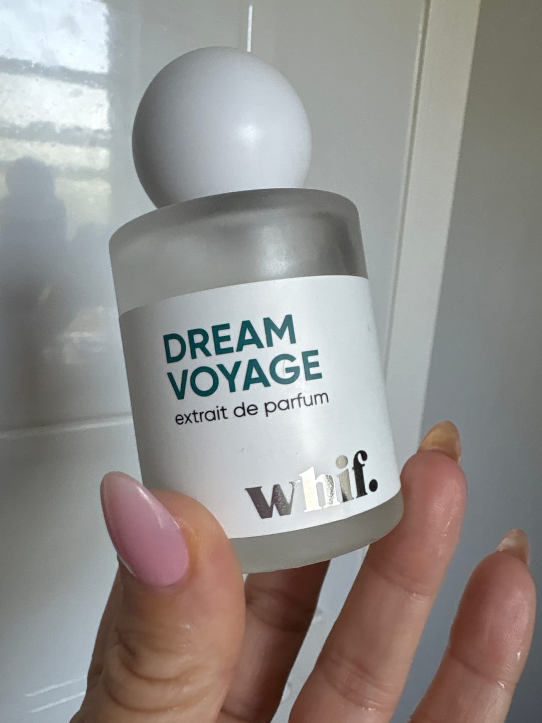 Customer photo review of Dream Voyage