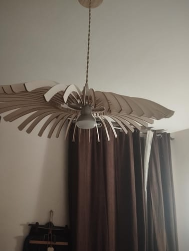 Customer photo review of Cygne | Suspension