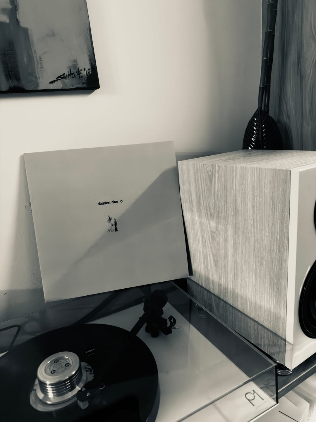 Customer photo review of O:   - Damien Rice [VINYL]