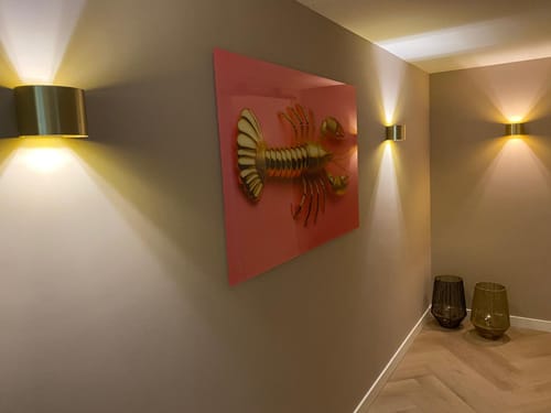 Customer photo review of GOLD lobster pink.