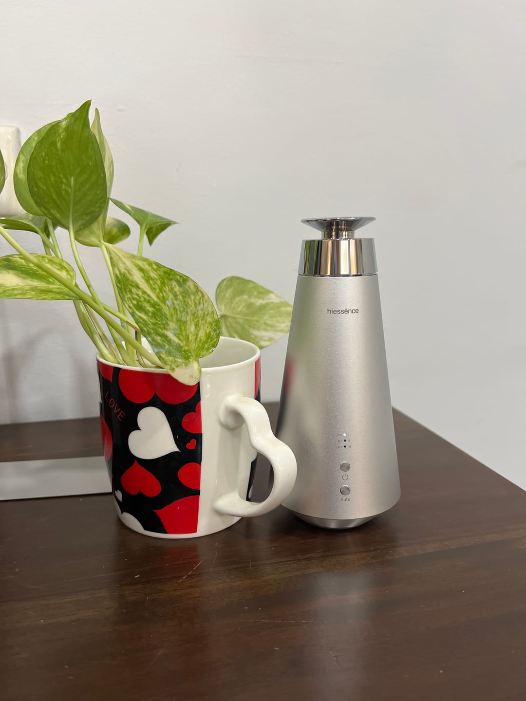 Customer photo review of Aroma Oil Experience Kit