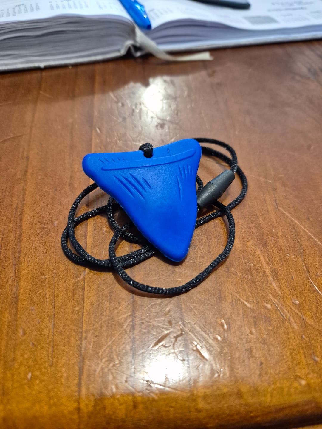 Customer photo review of Shark Tooth Sensory Chew Necklace - Free Hygiene Case