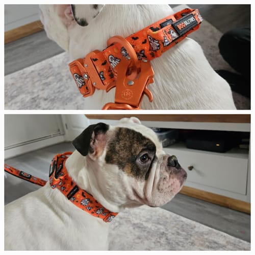 Sophie A. review of 4cm Lighter Combat® Collar | Halloween BooBillows image 1 out of 1