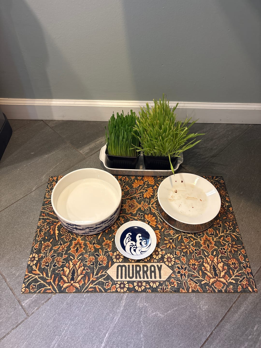 Customer photo review of Dog Bowl Mat, Nonslip, Machine Washable - Irene // Personalization: Murray