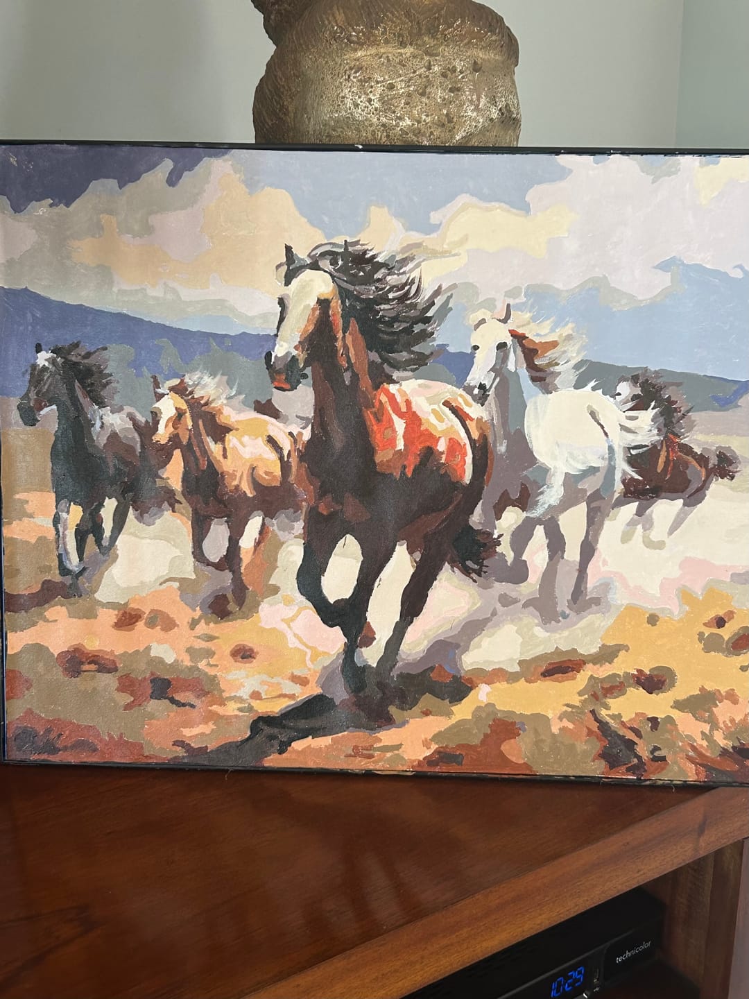 Customer photo review of Desert Horse Gallop