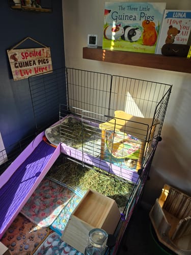 Customer photo review of C&C Cage Grids