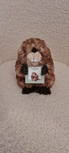 Customer photo review of Bever kosedyr 21 cm – “Chester” (Medium) | Wrendale Designs