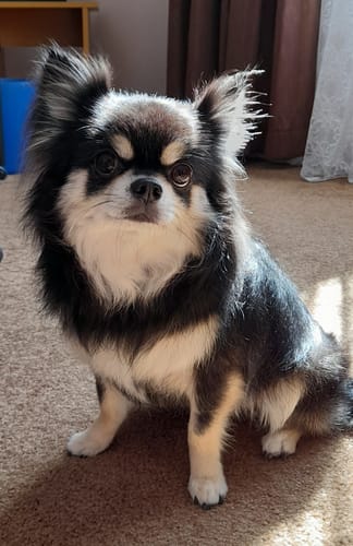 Wendy C. review of FREE Taste Testing Bundle image 1 out of 1