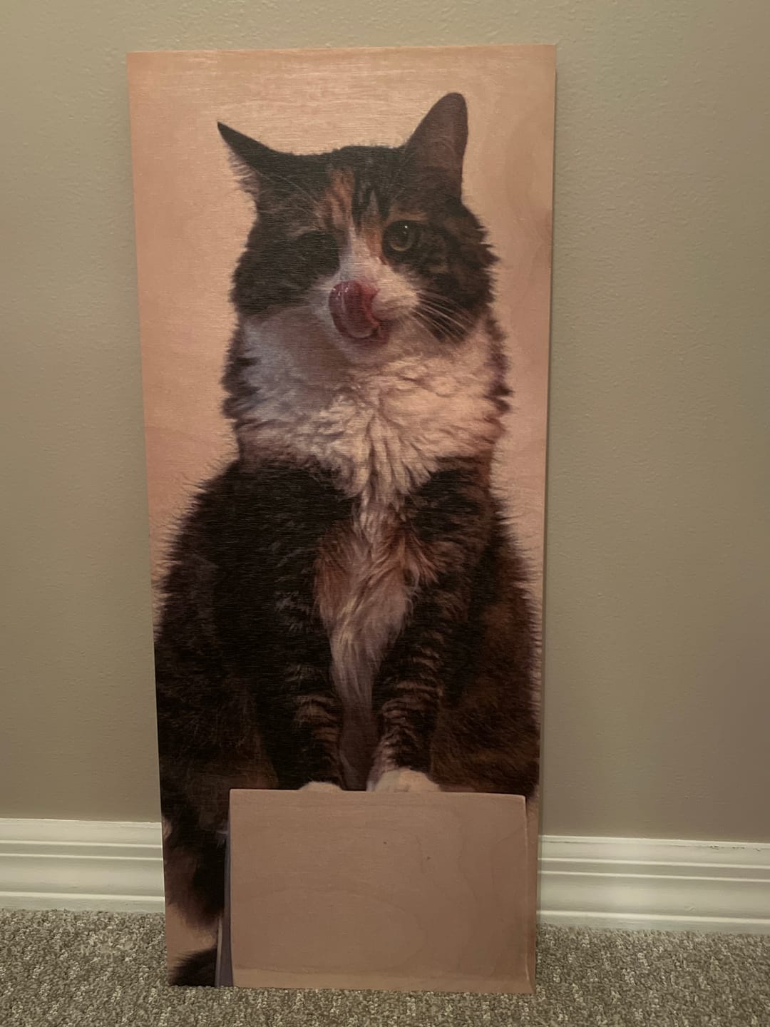 Customer photo review of Cove Edge Rectangular Wood Print