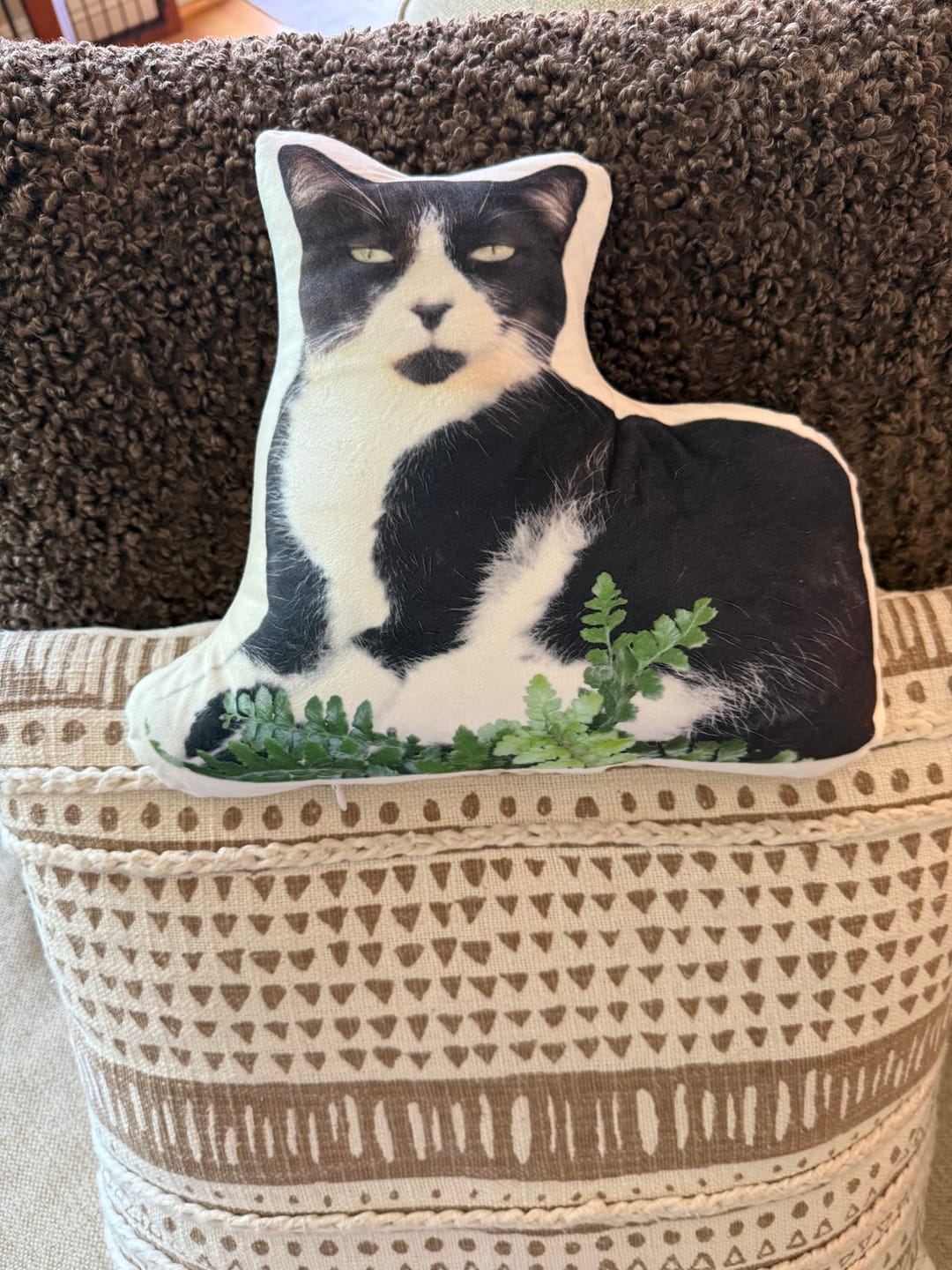 Customer photo review of Pet Pillow Looks Like Your Pet, Customize Dog Shaped Pillow with Pet Photo - ThePetPillow