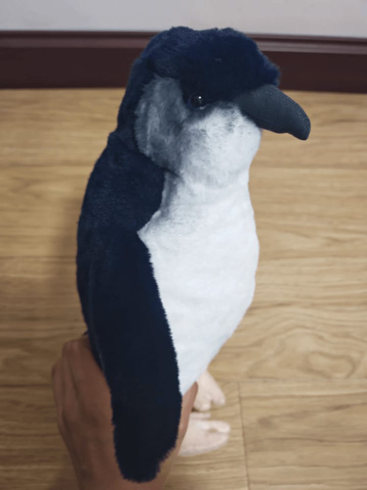 Customer photo review of Lifelike Fairy Blue Penguin Soft Stuffed Plush Toy