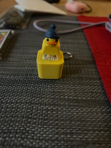 Customer photo review of Quackey - Fidget Toy that Quacks!