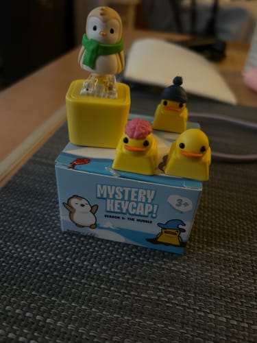 Customer photo review of Pudgy Penguins Mystery Keycap - The Huddle