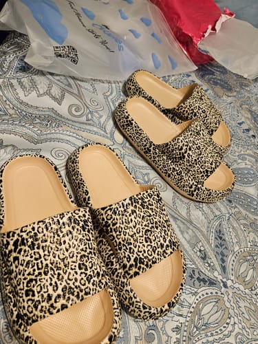 Customer photo review of The Cloudies Shipping Protection