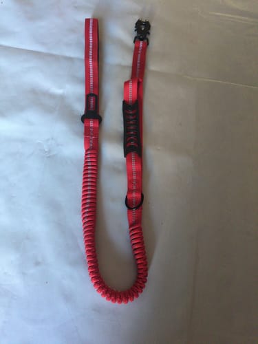 Customer photo review of Laisse pour chien élastique - ShockSafe : Laisse à amortisseur