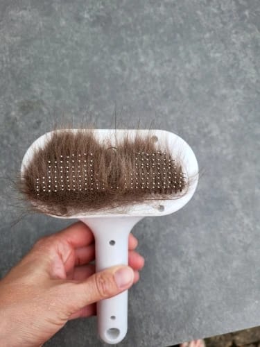 Customer photo review of Brosse vapeur Professionnel - Chien & Chat