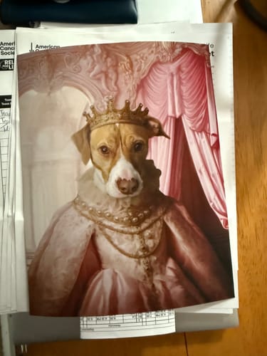 Customer photo review of The Spoiled Princess - Custom Pet Portrait