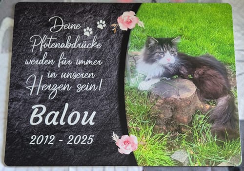 Customer photo review of Katzen Gedenktafel mit Foto & Spruch (UV- & Wetterfest)