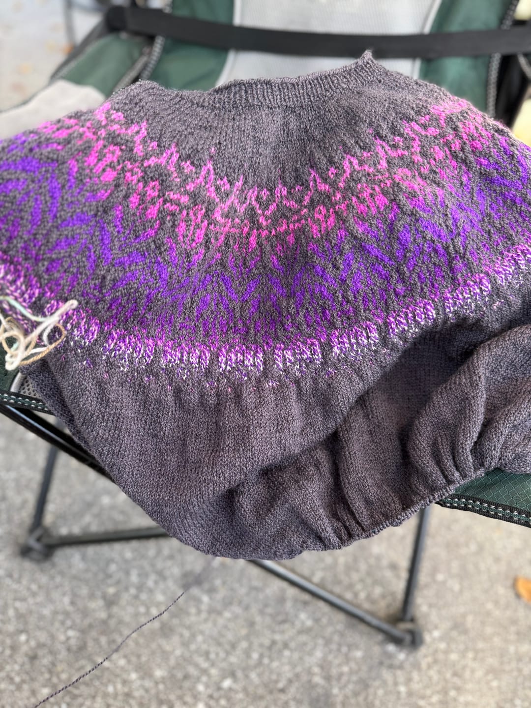 Customer photo review of Roots LITE: Charcoal