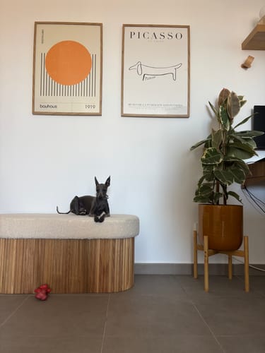 Customer photo review of BAOTSU - Banc avec rangement en bois et bouclettes blanches