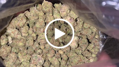 Customer video review of Shipping Protection by Route