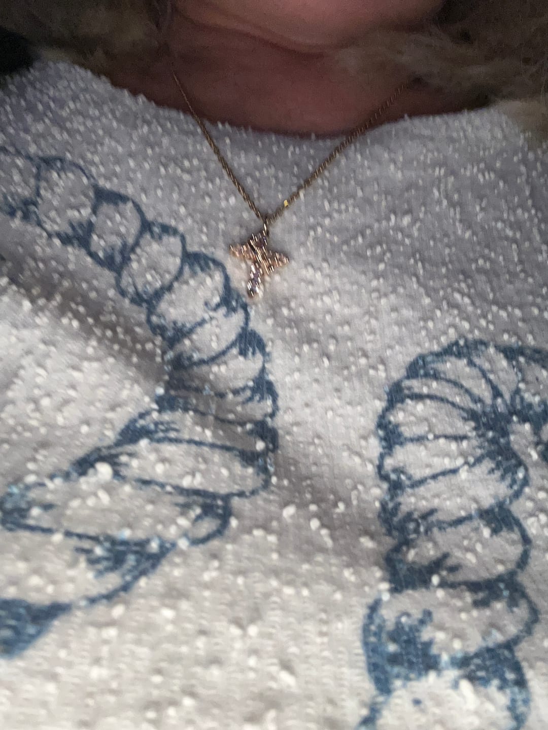 Customer photo review of Collier Croix Couronnée