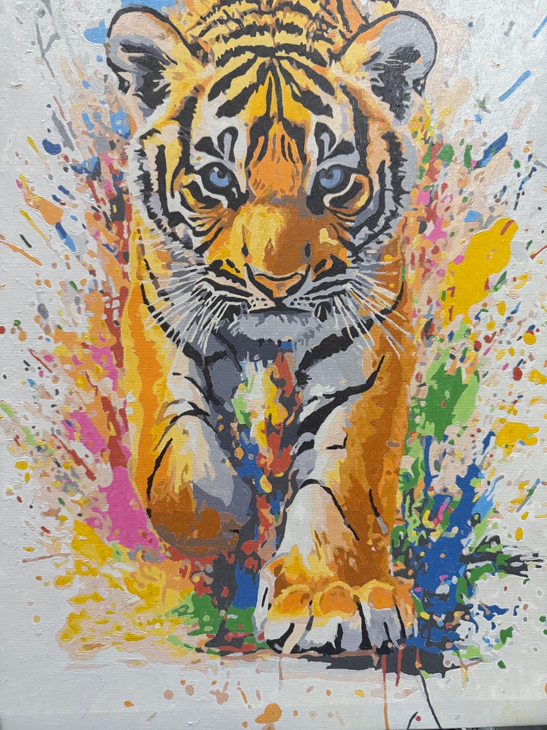 Customer photo review of Tiger Cub Splash