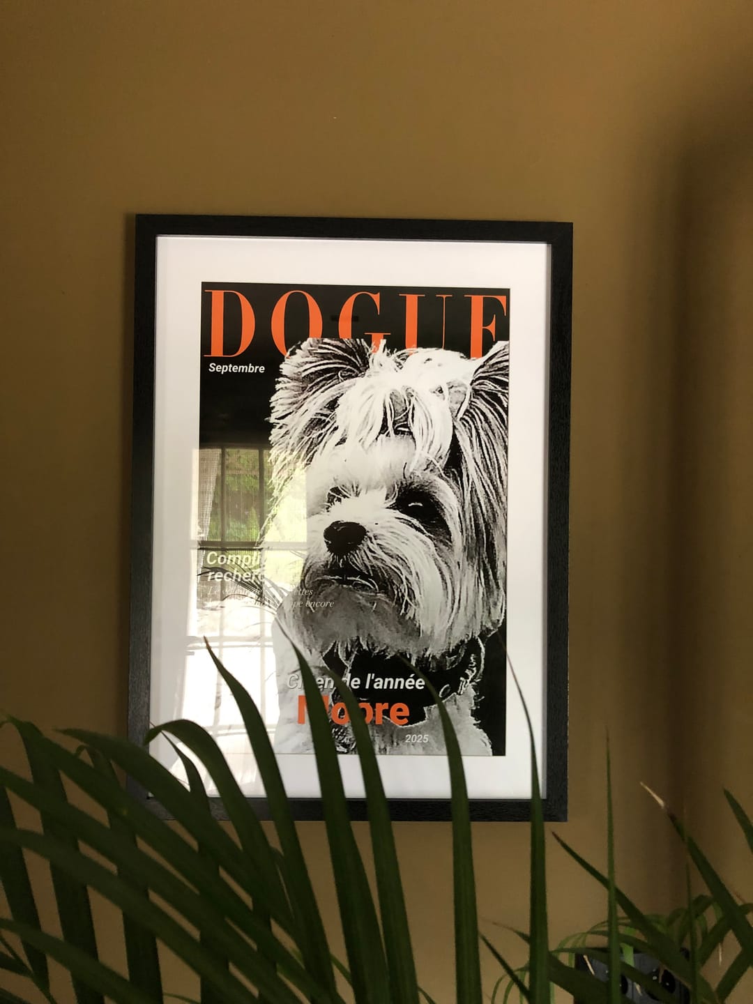 Customer photo review of Dogue - Poster personnalisé