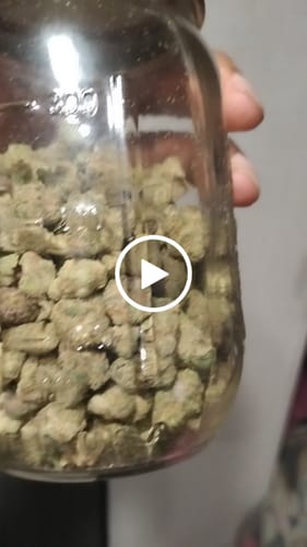 Customer video review of Greenhouse Smalls