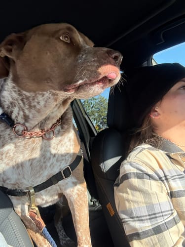 Customer photo review of Wild Salmon Pet CBD Oil (Multiple Sizes)