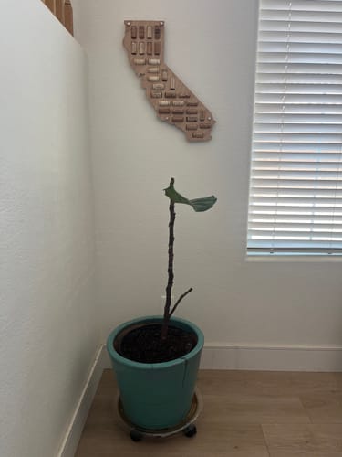 Caylie B. review of Plant Food image 1 out of 2