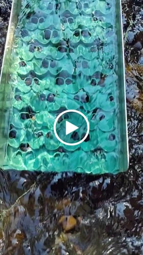 Customer video review of 6X24 Trek Sluice Box with Dream Mat | Gold Prospecting Equipment