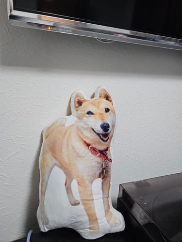 Customer photo review of 本物そっくり♪ペットクッション